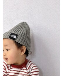 PETIT BATEAU | Tシャツ/カットソー