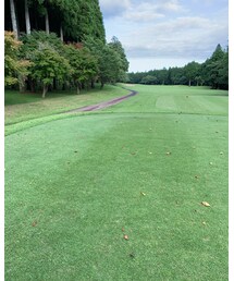 撮影場所 | その他