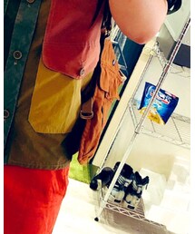 aditional | ADITIONAL ウェアブルバッグ 2回前の投稿でベストとして着用するバッグとして投稿しましたが、普通に手提げカバンとして使ってます。(バッグ)