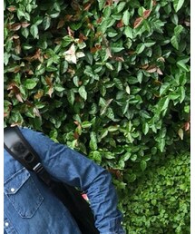 ZARA | ショルダーバッグ