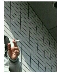 UNIQLO | マウンテンパーカー