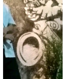 UNIQLO | シャツ/ブラウス