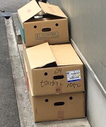 たまたま見かけた段ボール | 何かを訴えかけてる⁇(その他)