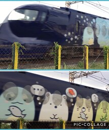 すみっこぐらしラピート | 期間限定ラッピング🚃(ラッピングキット)