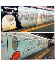 すみっコぐらし電車 | 南海電鉄ラピート(ラッピングキット)