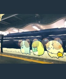 すみっコぐらし電車 | 南海電鉄ラピート(ラッピングキット)