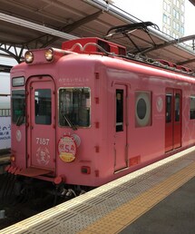 めでたい電車 | 加太線(ラッピングキット)