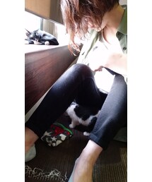 かごにゃん | その他