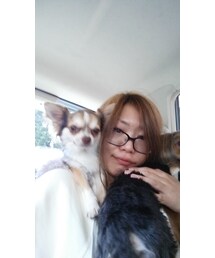 リンとコトラと茶みこ | その他