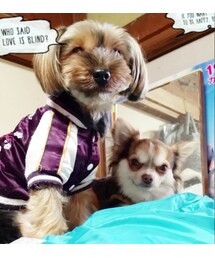 リンとコトラ | 福袋/福箱