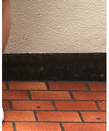 adidas | スニーカー