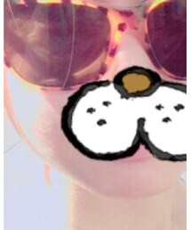 GIORGIO ARMANI | サングラス