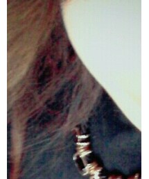 Lattice | アクセサリー