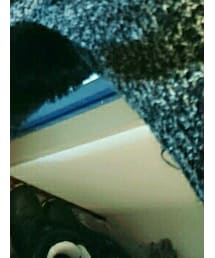 WEGO | バックパック/リュック