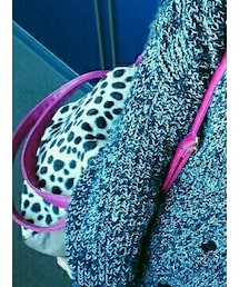 used | ショルダーバッグ