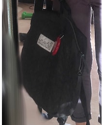 ALL ORDINARIES | バックパック/リュック