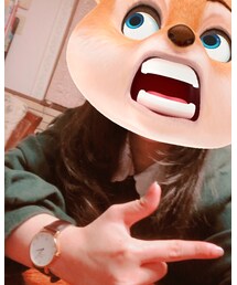 🐻 | その他
