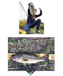 野池モンスター捕獲🐟 | その他