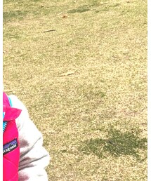 patagonia | その他アウター