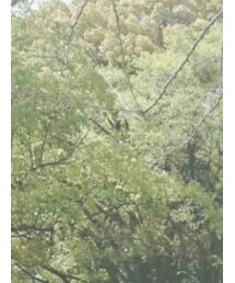 無印良品 | トップス