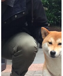 H&M | チノパンツ