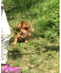 宝物🐶 | その他小物