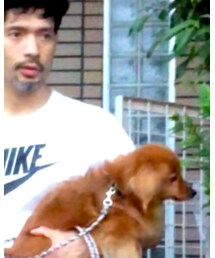 NIKE | Tシャツ/カットソー