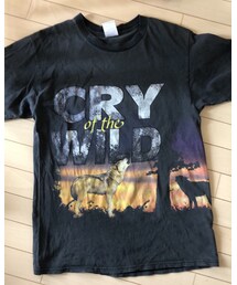 古着 | お気に入り！(Tシャツ/カットソー)