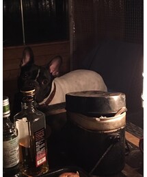 キャンプは酒 | その他