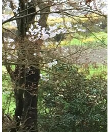 Right-on | Tシャツ/カットソー