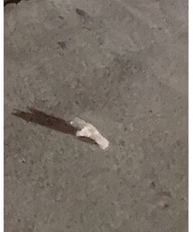 男友的拍照技術跟這張紙屑一樣 | その他