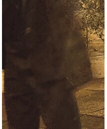 🦖 | ジャケット/アウター