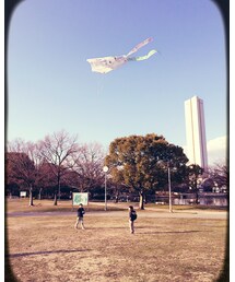 凧揚げ〜 | その他