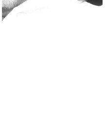 Supreme  | パーカー