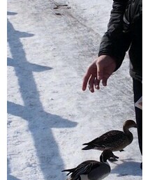 古着 | カーディガン/ボレロ