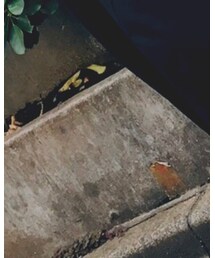 MICHAEL KORS | バックパック/リュック