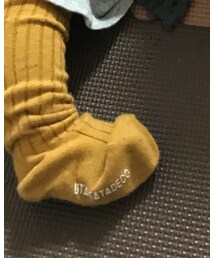 Birthday | タイツ/ストッキング