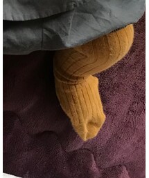 Birthday | タイツ/ストッキング