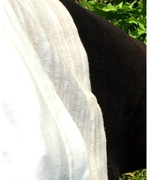 Born Free | タンクトップ