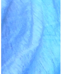 GAP | Tシャツ/カットソー