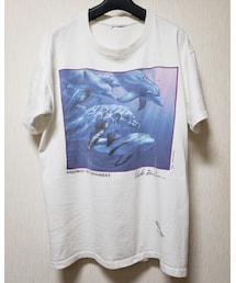 used | Tシャツ/カットソー
