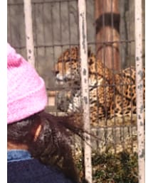 ZARA KIDS | シャツ/ブラウス