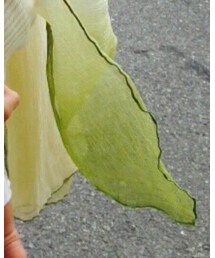 おばあちゃんからの借り物 | バンダナ/スカーフ