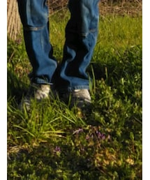 NEW BALANCE | スニーカー