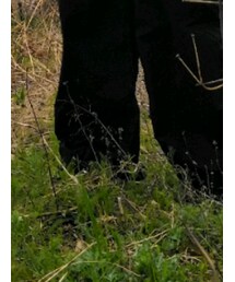 SALOMON | スニーカー