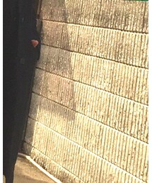 SENSE OF PLACE by URBAN RESEARCH | ニット/セーター