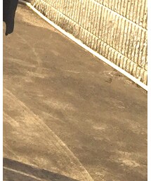 used | その他シューズ