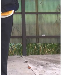 usedラインパンツ | パンツ