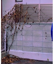 WIND AND SEA | パーカー