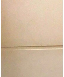 UNIQLO | シャツ/ブラウス